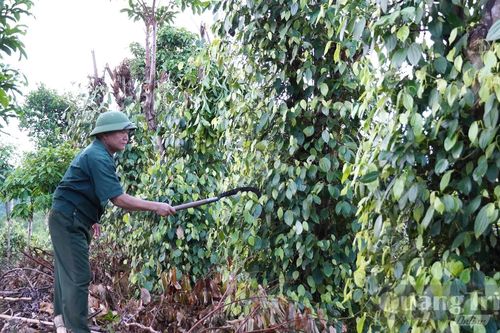 'Thước đo' của niềm tin