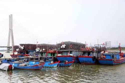 Khẩn trương đưa tàu thuyền vào nơi tránh trú áp thấp nhiệt đới