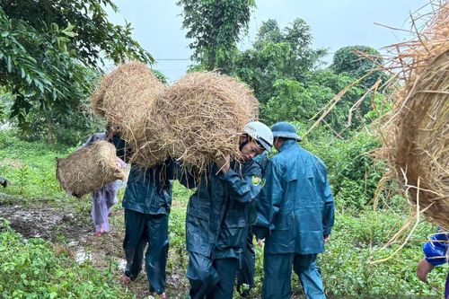 Bộ Chỉ huy Quân sự tỉnh chủ động giúp Nhân dân ứng phó với mưa lũ