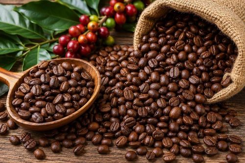 Ngày 13/9: Giá cà phê đồng loạt giảm, hồ tiêu đi ngang