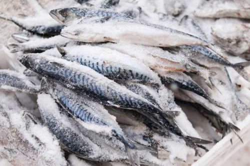 VASEP: Gỡ chồng chéo kiểm tra nhập khẩu, giảm chi phí cho chuỗi thủy sản