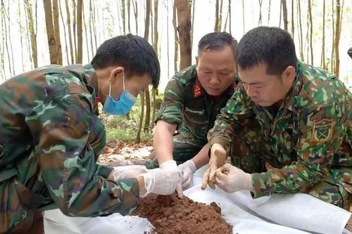 Nỗ lực tìm kiếm, quy tập hài cốt liệt sĩ trước mùa mưa lũ