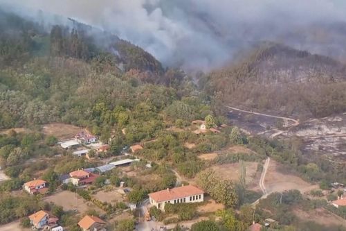 Bulgaria: Cháy rừng dữ dội lan rộng hơn 800 hecta