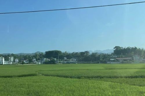 Ngày 14/9, thời tiết trong tỉnh có mưa rào và dông vài nơi, ngày trời nắng gián đoạn