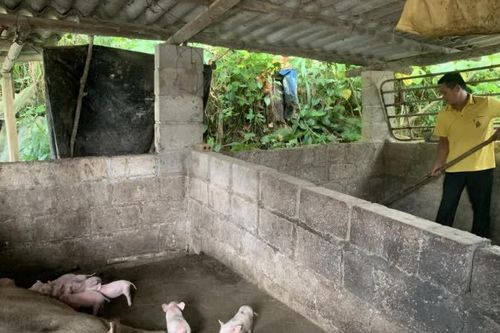 Chương trình phát triển vùng đồng bào dân tộc thiểu số giải ngân đạt 32,5% kế hoạch