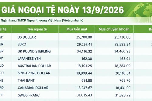 Tỷ giá ngoại tệ ngày 13/9: USD trên 26.000 đồng, CHF trên 32.300 đồng
