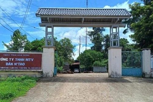 Phê bình 5 chủ rừng để xảy ra các vụ vi phạm Luật Lâm nghiệp nổi cộm