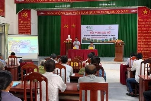 Quảng Trị: Hội nghị đánh giá mô hình thâm canh giống sắn kháng bệnh khảm lá HN1