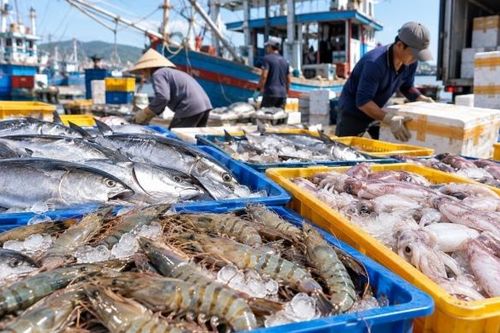 Hướng dẫn mới về kiểm tra an toàn thực phẩm đối với hàng động vật, thủy sản nhập khẩu