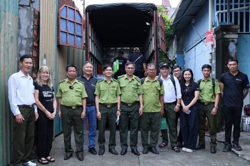 Gấu Millie và hành trình hồi sinh từ 'chiếc hộp thời gian'