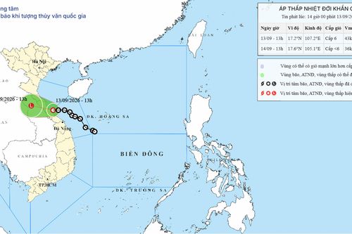Áp thấp nhiệt đới áp sát Quảng Trị, mưa có nơi trên 500mm