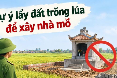 Tự ý lấy đất trồng lúa để xây nhà mồ