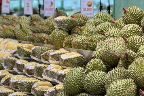 Sầu Black Thorn và Musang King có gì đặc biệt mà cả hai đều có giá 'siêu' đắt trên thị trường?