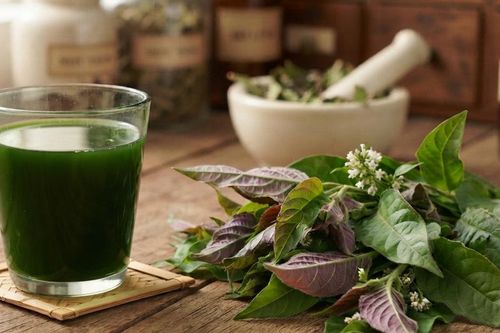 Nước ép lá mơ lông có tốt nếu uống hằng ngày?