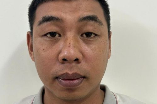 Dùng giấy phép lái xe giả, người đàn ông bị đề nghị truy tố