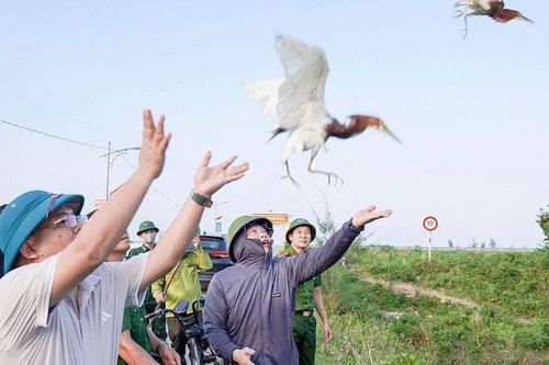 Hà Tĩnh ngăn nạn săn bắt chim trời mùa di cư