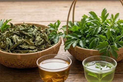 Nước lá đinh lăng tươi và nước lá đinh lăng khô, loại nào tốt hơn?