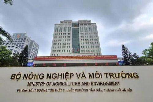 Từ 15-9: Cục Địa chất và Khoáng sản được chuyển giao sang Bộ Công Thương