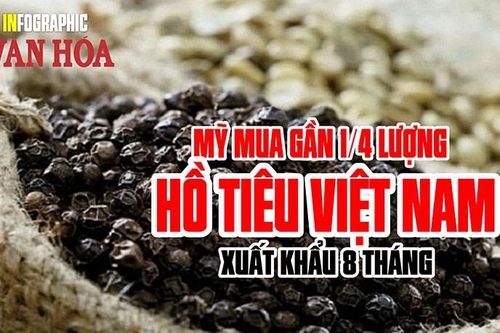 Mỹ mua gần 1/4 lượng hồ tiêu Việt Nam xuất khẩu 8 tháng