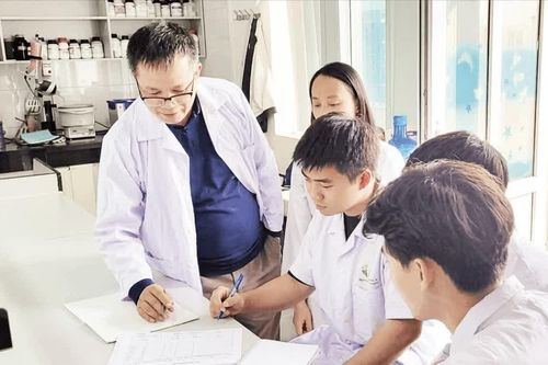 Giải pháp hỗ trợ điều trị ung thư từ cây gừng gió