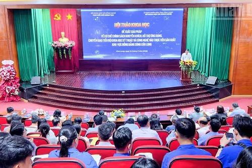 Ứng dụng khoa học công nghệ vào thực tiễn sản xuất vùng Đồng bằng sông Cửu Long