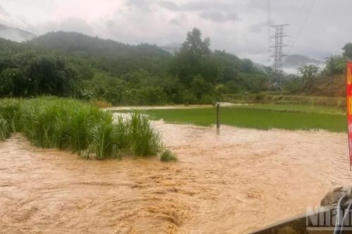 Lào Cai chủ động ứng phó mưa lớn, lũ quét và sạt lở đất