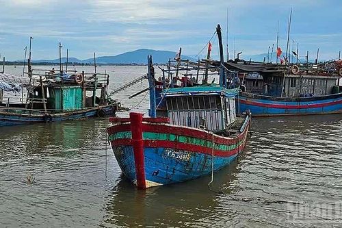 Thanh Hóa: Các địa phương, doanh nghiệp ứng phó với mưa lớn