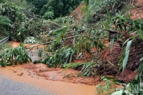 Mưa lớn có thể gây lũ quét, sạt lở đất tại Phú Thọ, Lào Cai, Quảng Ninh và từ Thanh Hóa đến Quảng Trị