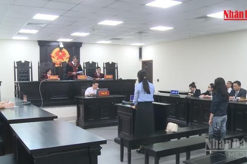[Video] Hủy án sơ thẩm, điều tra bổ sung vụ cựu Hiệu trưởng THCS Ba Đình