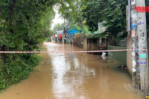 [Video] Xác định nguyên nhân khu dân cư cạnh cao tốc Biên Hòa - Vũng Tàu ngập sâu