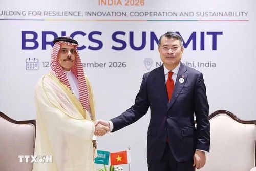 Việt Nam mong muốn phát triển quan hệ hiệu quả, thực chất với Saudi Arabia