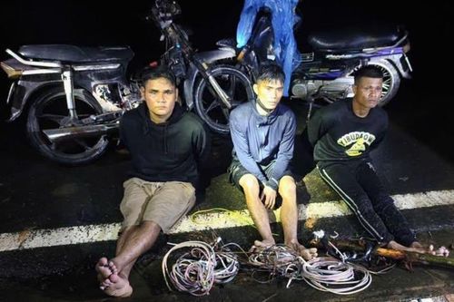 Bắt quả tang 3 đối tượng trộm dây cáp điện