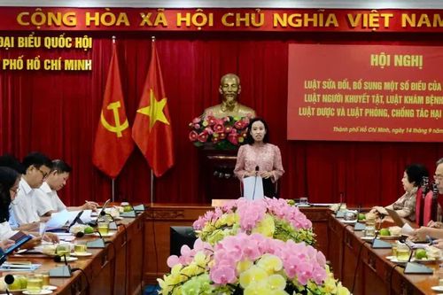 Góp ý hoàn thiện luật, tăng cường bảo vệ trẻ em, người khuyết tật