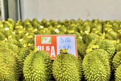 Đề xuất giao cấp xã cấp mã số vùng trồng: Làm trực tuyến, nhận kết quả tự động sau 3 ngày