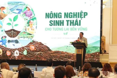Thúc đẩy nông nghiệp sinh thái gắn với sinh kế và thị trường xanh