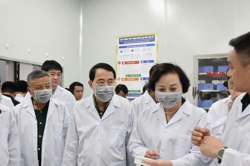 Phó Thủ tướng Phạm Thị Thanh Trà: Tăng tốc xác định danh tính liệt sĩ bằng ADN