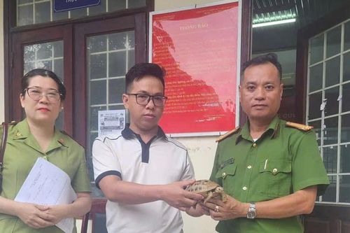 Người dân tự nguyện giao nộp rùa hộp ba vạch quý hiếm