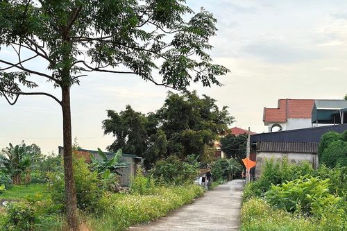 Nhà mất mái, bỏ không nhiều năm có được công nhận đất ở khi cấp sổ đỏ?