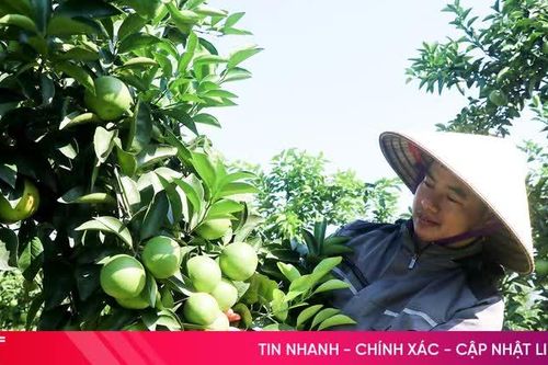 Phát huy hiệu quả nguồn vốn, tạo sinh kế bền vững ở Đồng Lộc