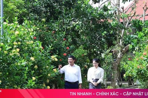Thôn Ân Phú trên hành trình mới
