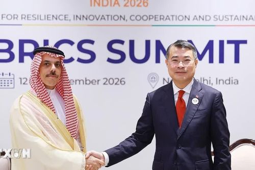 Thủ tướng Lê Minh Hưng: Việt Nam mong muốn phát triển quan hệ hiệu quả, thực chất với Saudi Arabia