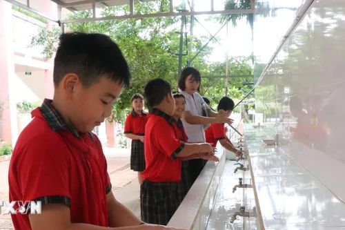 Đắk Lắk: Chủ động phòng bệnh ngay từ đầu năm học mới