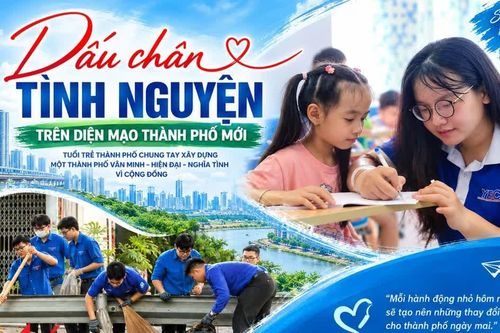 Dấu chân tình nguyện trên diện mạo thành phố mới
