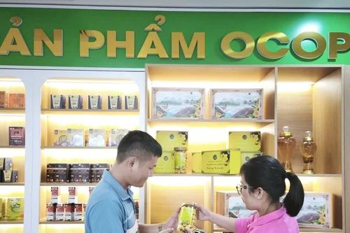Nâng tầm OCOP Phú Thọ từ chất lượng đến chuỗi giá trị