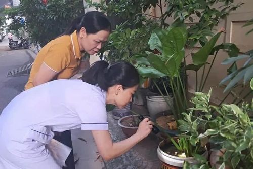 Hà Nội ghi nhận thêm hàng trăm ca mắc sốt xuất huyết, tay chân miệng