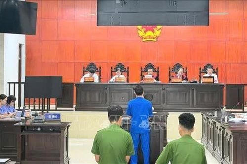 Tuyên phạt 15 năm tù cựu giám đốc lập khống hồ sơ