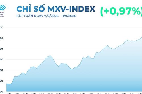 MXV-Index tăng tuần thứ 6 liên tiếp, giá dầu tăng vọt hơn 9%