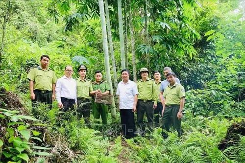 Giữ sinh cảnh, bảo vệ các loài động vật nguy cấp