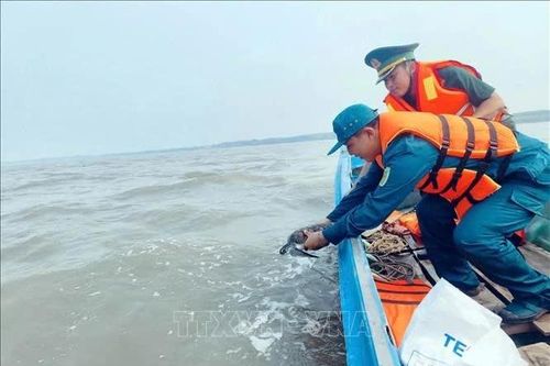 Chung tay bảo tồn đa dạng sinh học và nguồn lợi biển