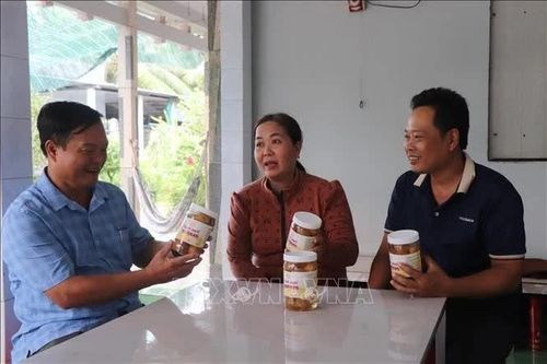 Lọc sản phẩm OCOP hết hạn, tập trung phát triển sản phẩm thực chất